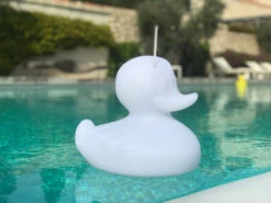 Lampe Canard Blanc Duck Duck -Animalière Décoration Magasin file 43