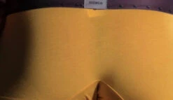 Boxer Poussin -Animalière Décoration Magasin file 4347