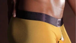 Boxer Poussin -Animalière Décoration Magasin file 4348