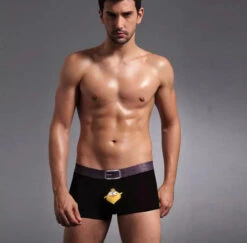 Boxer Poussin -Animalière Décoration Magasin file 4352