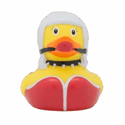 Canard Femme SM 10 Canard Femme SM -Animalière Décoration Magasin file 438