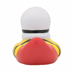 Canard Femme SM 11 Canard Femme SM -Animalière Décoration Magasin file 439