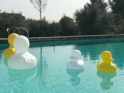 Lampe Canard Blanc Duck Duck -Animalière Décoration Magasin file 44