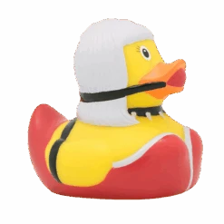 Canard Femme SM 12 Canard Femme SM -Animalière Décoration Magasin file 440