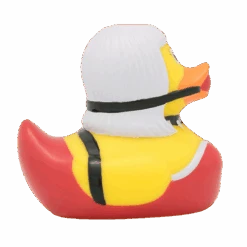 Canard Femme SM 13 Canard Femme SM -Animalière Décoration Magasin file 441