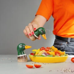 Sel Et Poivre Canard Colvert -Animalière Décoration Magasin file 4516