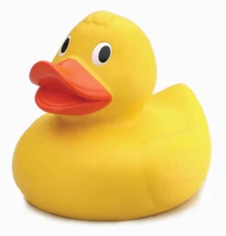 Canard De Piscine XXL