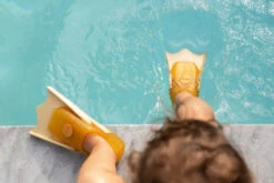 Palmes Canard -Animalière Décoration Magasin file 4558