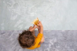 Palmes Canard -Animalière Décoration Magasin file 4562