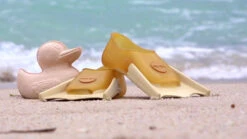 Palmes Canard -Animalière Décoration Magasin file 4565