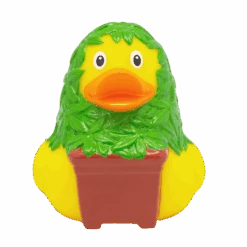 Canard Cannabis 10 Canard Cannabis -Animalière Décoration Magasin file 465