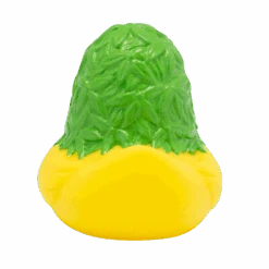 Canard Cannabis 13 Canard Cannabis -Animalière Décoration Magasin file 468