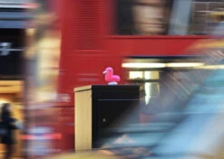 Tirelire Canard Magenta CMYK -Animalière Décoration Magasin file 481