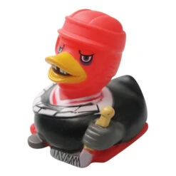 Canard Hockey Sur Glace