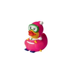 Canard Skieuse -Animalière Décoration Magasin file 4847