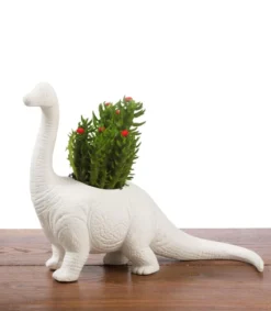 Pot De Fleurs Plantosaurus 11 Pot De Fleurs Plantosaurus -Animalière Décoration Magasin file 5