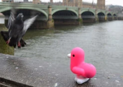 Tirelire Canard Rose Fluo -Animalière Décoration Magasin file 506