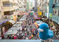 Tirelire Canard Cyan CMYK -Animalière Décoration Magasin file 542