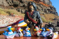 Canard Marin Grèce 18 Canard Marin Grèce -Animalière Décoration Magasin file 5627