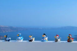 Canard Marin Grèce 21 Canard Marin Grèce -Animalière Décoration Magasin file 5630