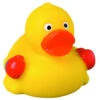 Canard Boxeur