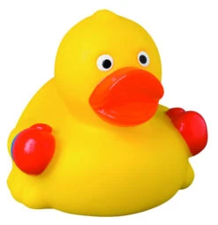 Canard Boxeur