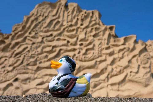 Canard Crétois 8 Canard Crétois – Image 6