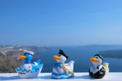 Canard Crétois 20 Canard Crétois -Animalière Décoration Magasin file 5759