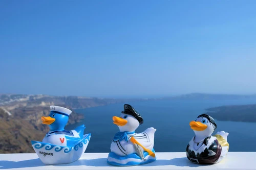 Canard Crétois 11 Canard Crétois – Image 9