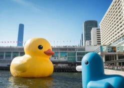 Tirelire Canard Bleu Fluo -Animalière Décoration Magasin file 588